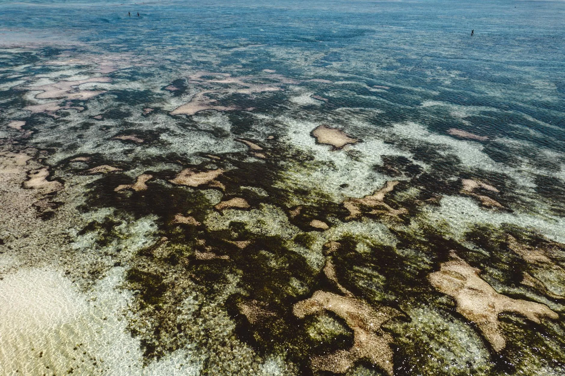 Lotnicze ujęcie barwnej rafy koralowej u wybrzeży Kibaoni w Kenii