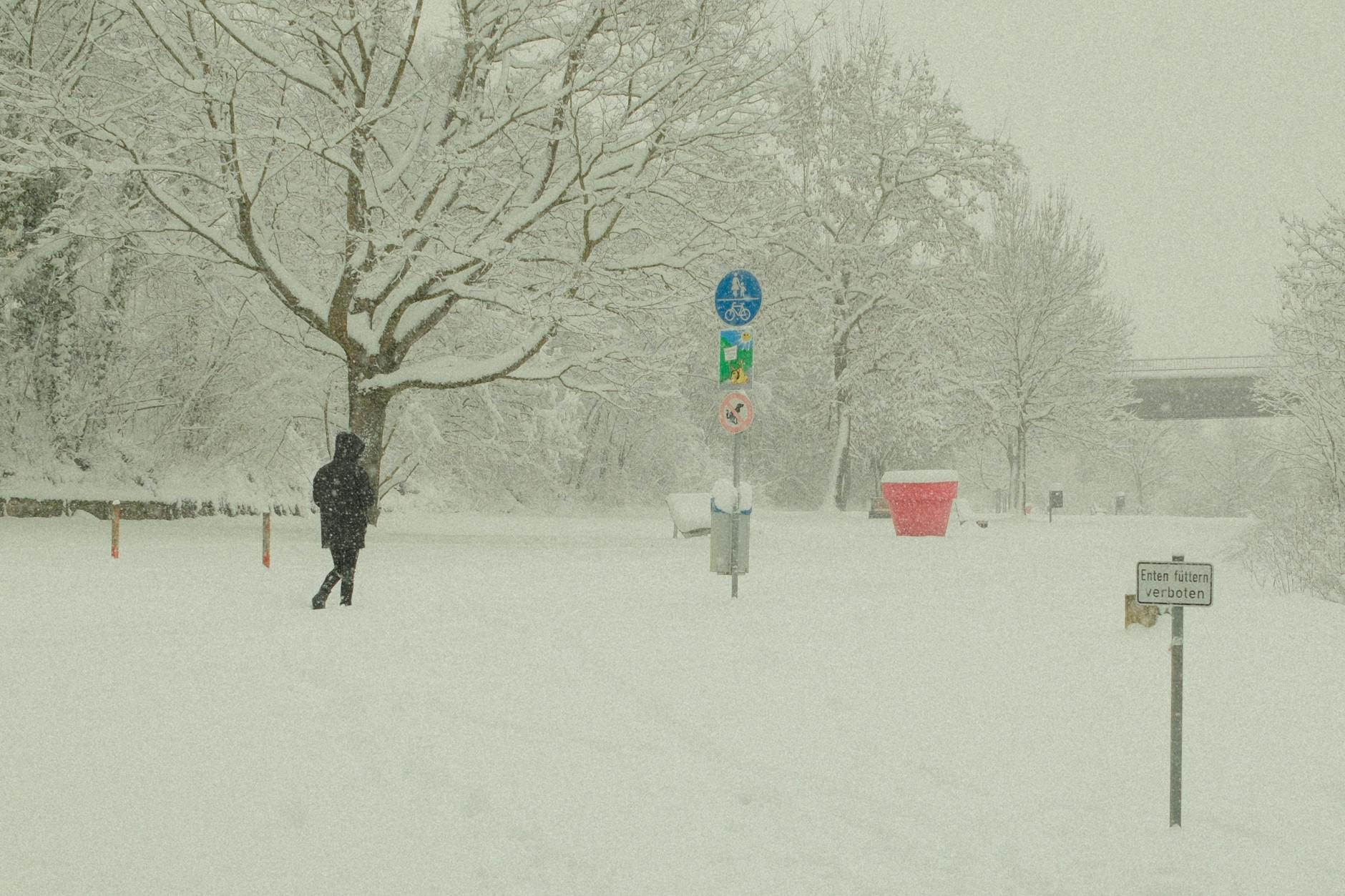 Osoba idąca zimą po ośnieżonym bawarskim krajobrazie z drzewami