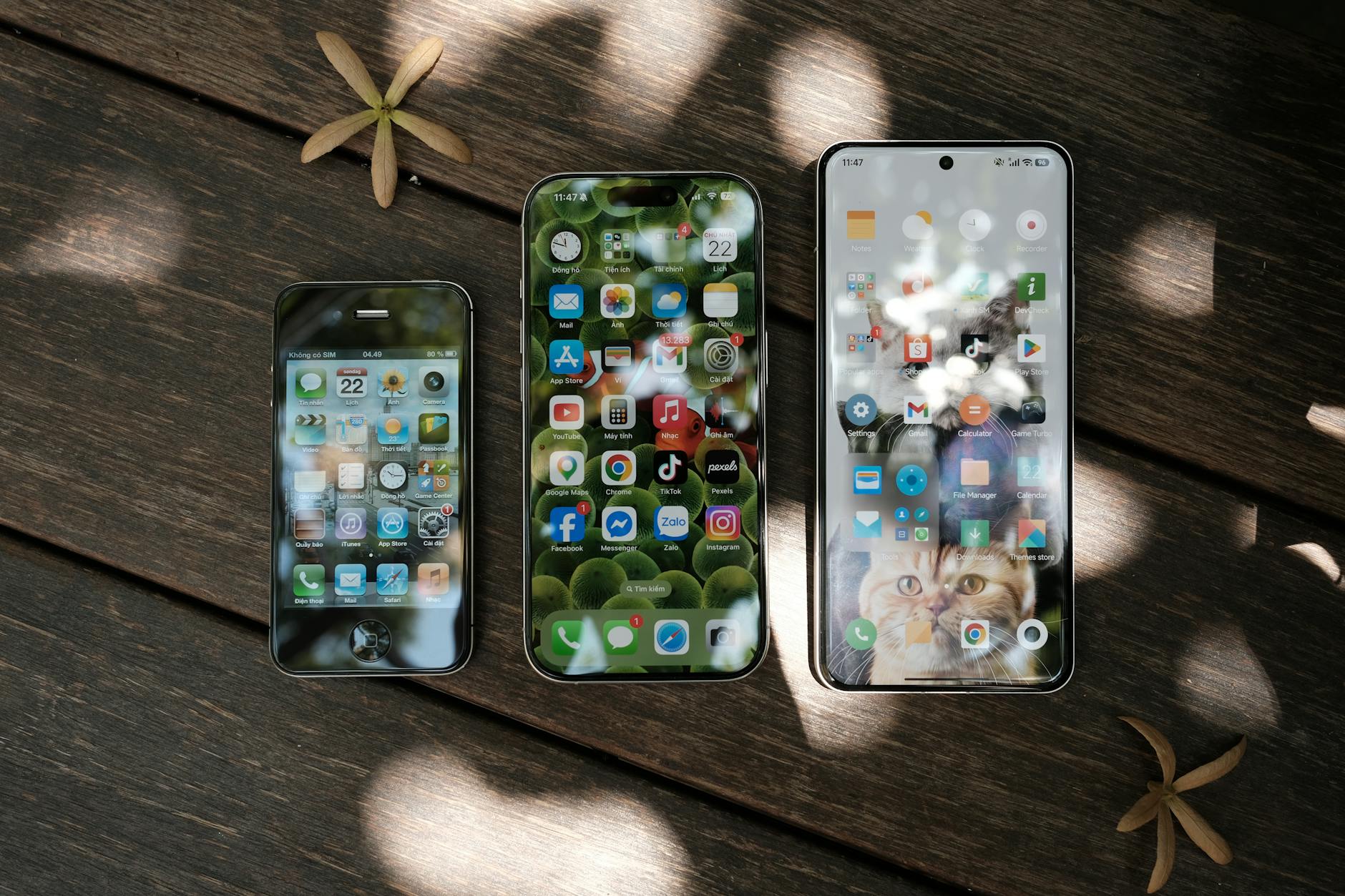 Trzy smartfony na drewnianym tle wśród suszonych kwiatów