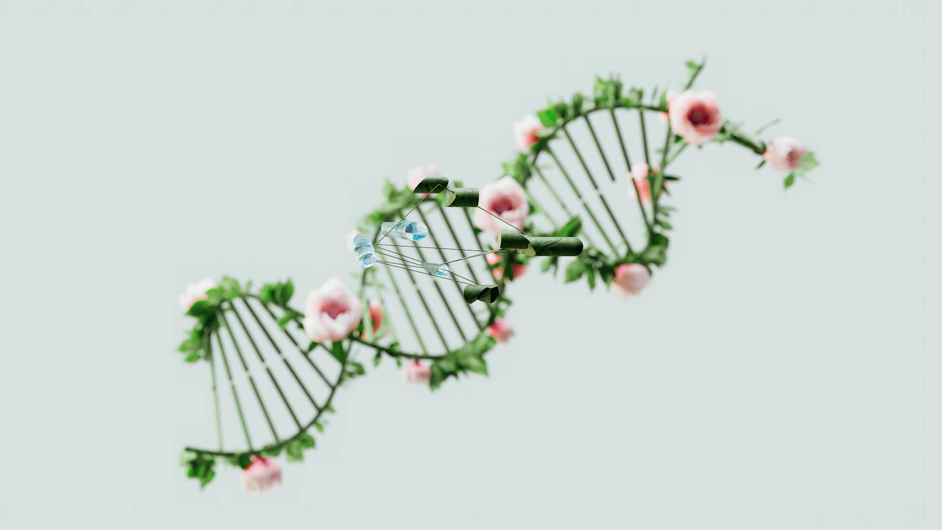 Helisa DNA ozdobiona różowymi kwiatami i zielonymi liśćmi
