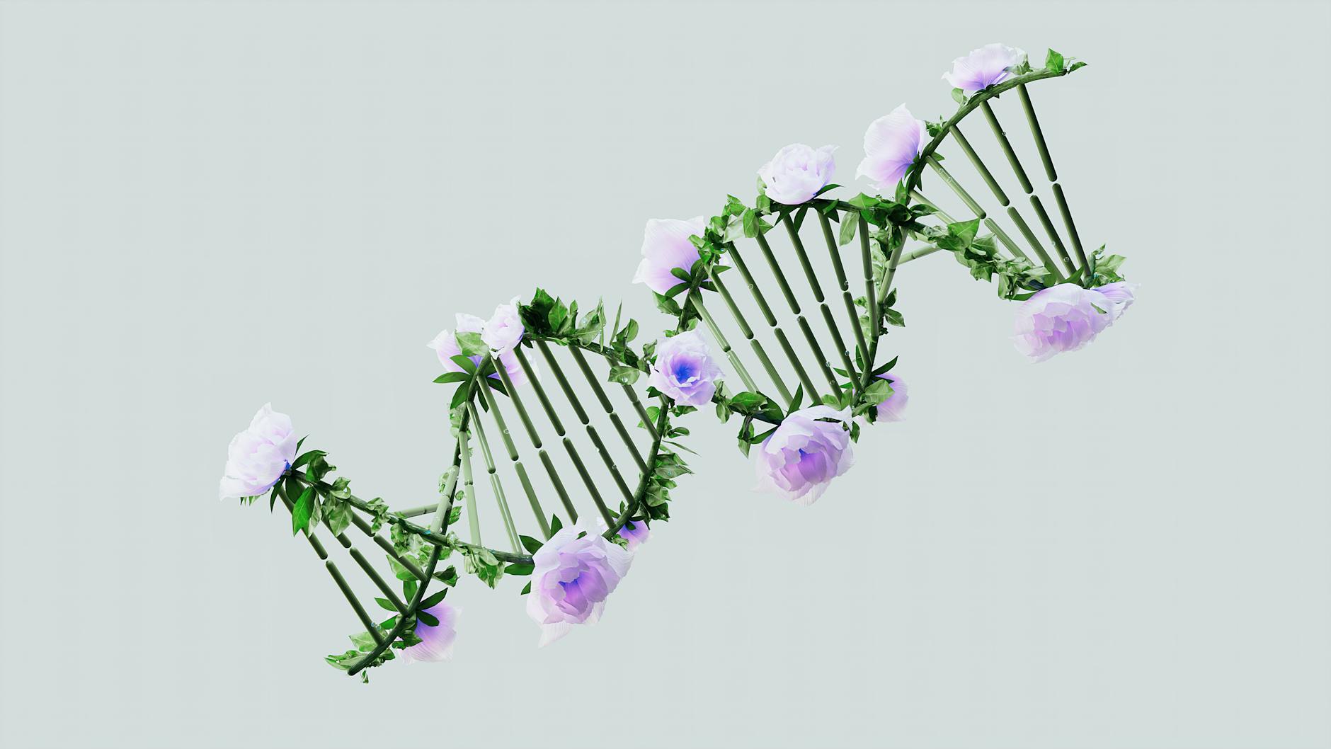 Helisa DNA utworzona z pastelowych róż, symbol łączenia genów i alergii