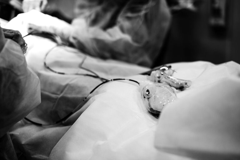 Ksenotransplantacja: jak modyfikacje genetyczne świń umożliwiły przeszczepy serca człowiekowi?